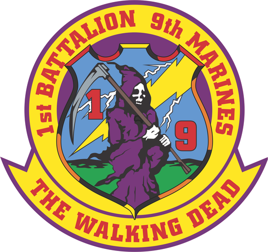 USMC 1st Battalion 9th Marine Regiment Walking Dead